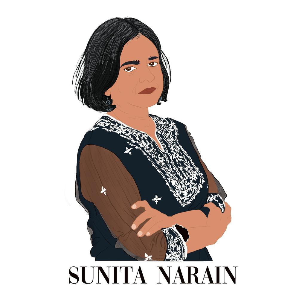 Sunita Narain cartoon - inspiring women collection
