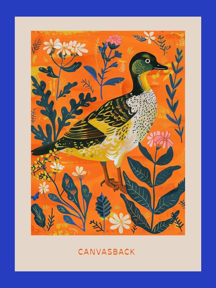 Spring Birds Poster Canvasback 3