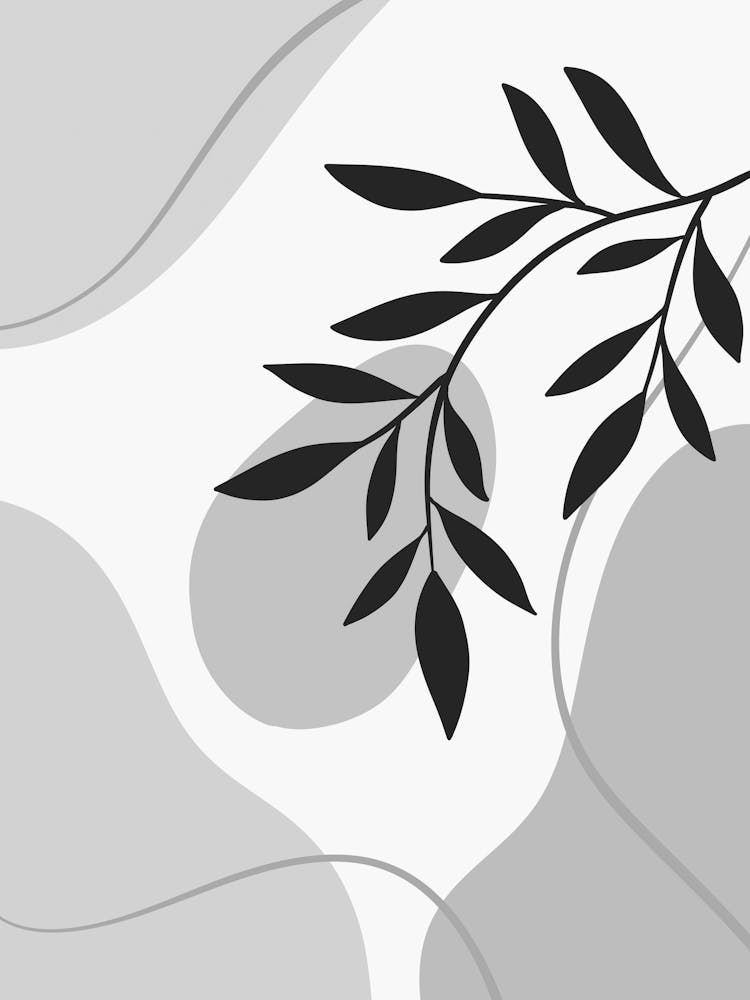 Abstract Black And White Leaves