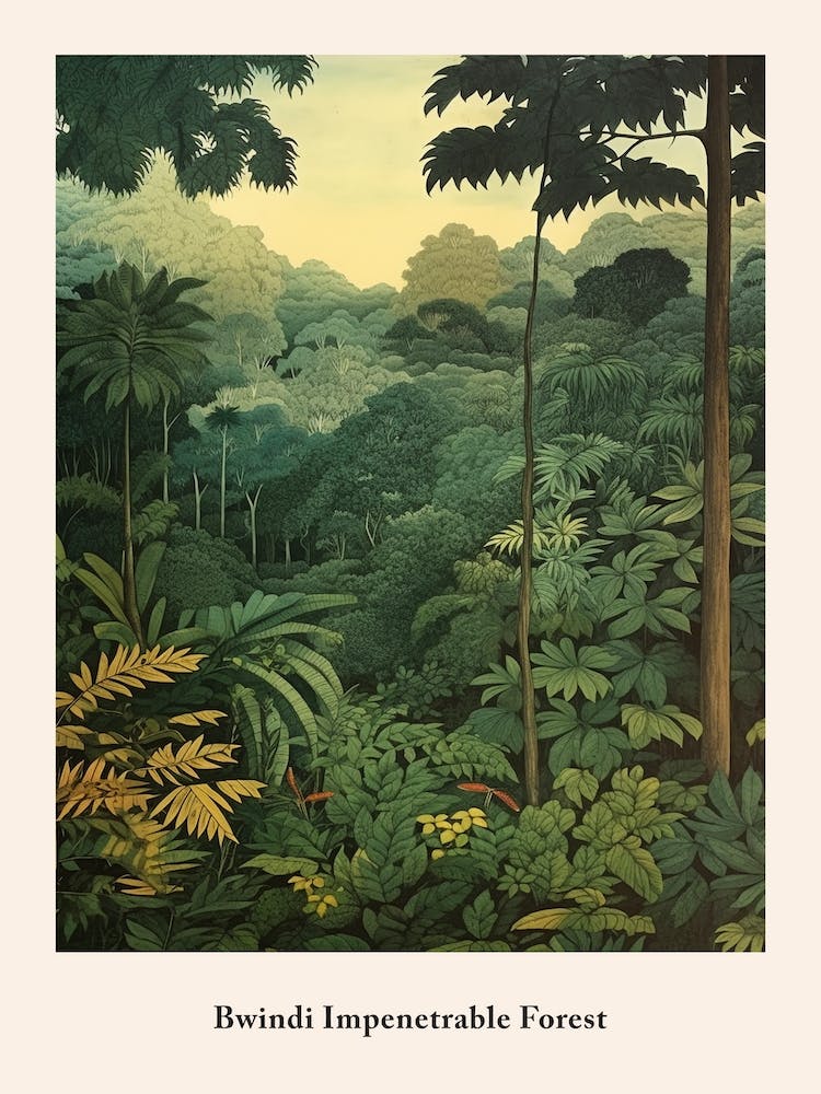 Bwindi Impenetrable Forest