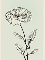 Line Art Marigold Flowers Illustration Neutral 11