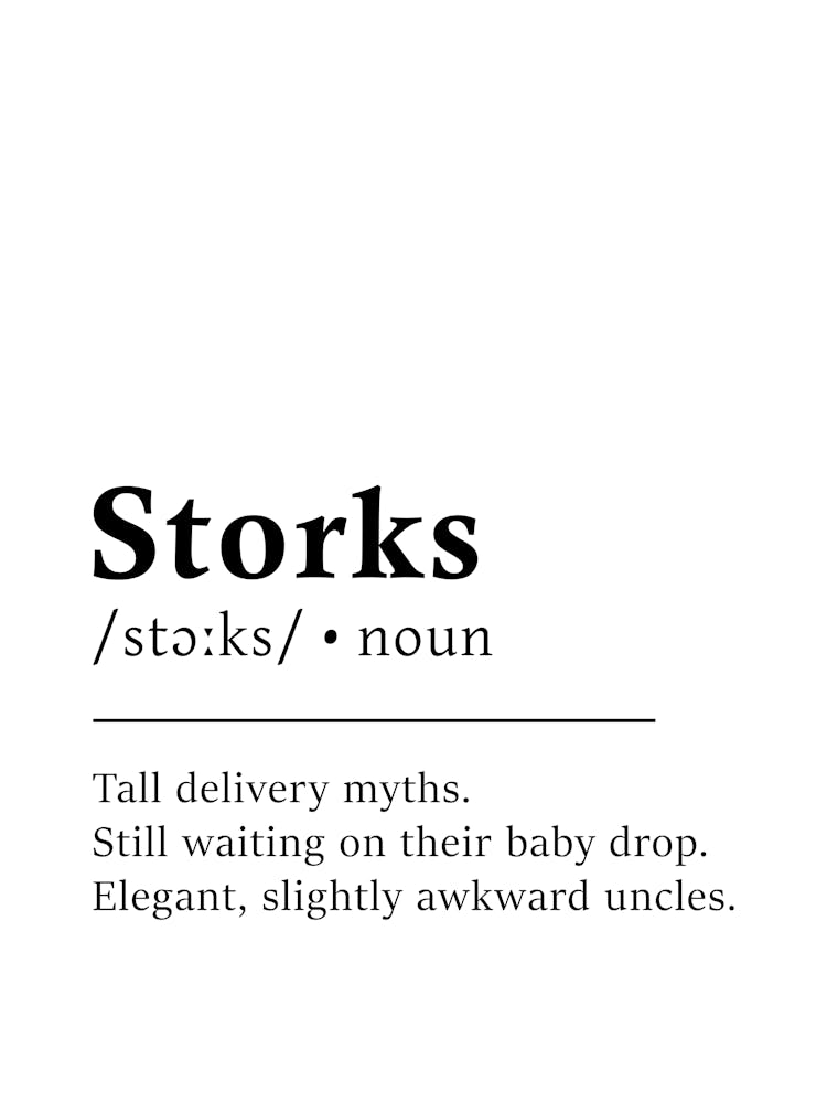 Storks Definition Poster - Dictionary
