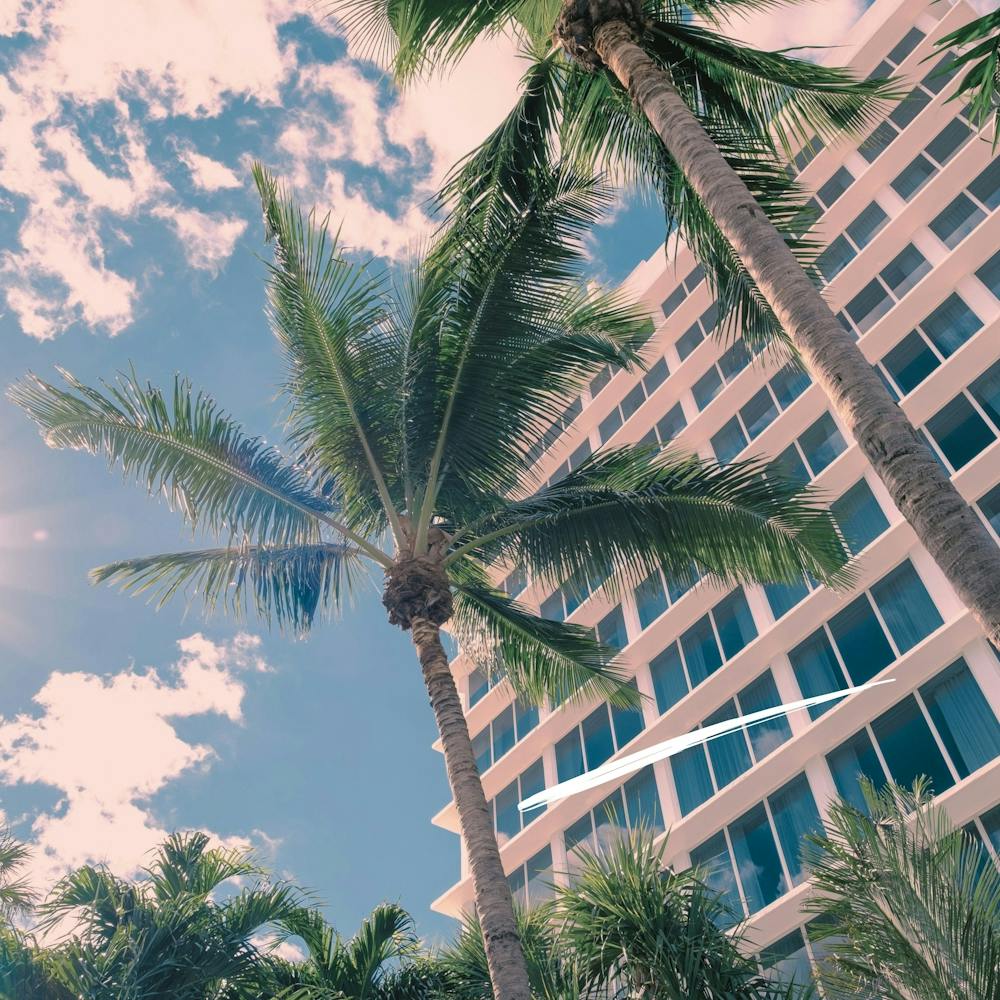 Palm Trees In Front Of A Building