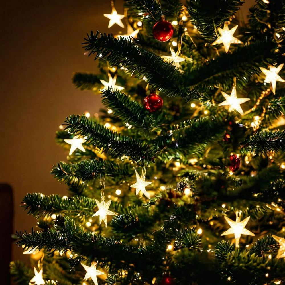 chrismas tree