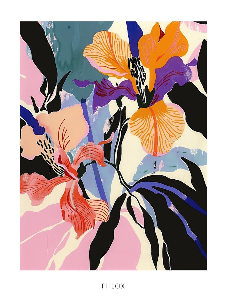 Colourful Flower Illustration Poster Phlox 3