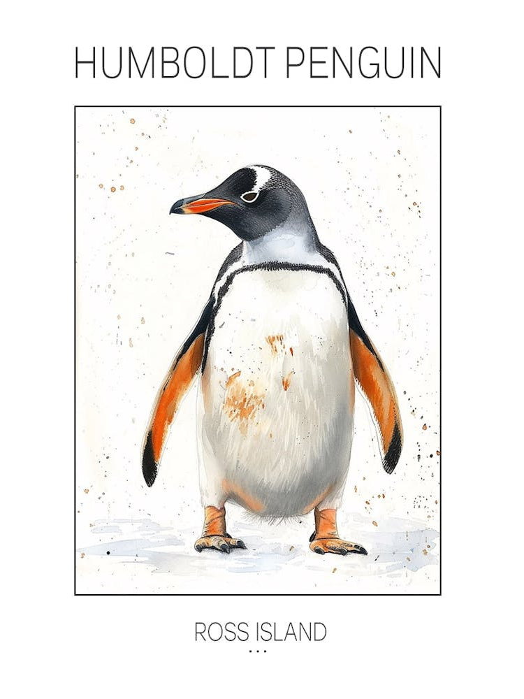 Humboldt Penguin Ross Island Watercolour Painting 4 Poster