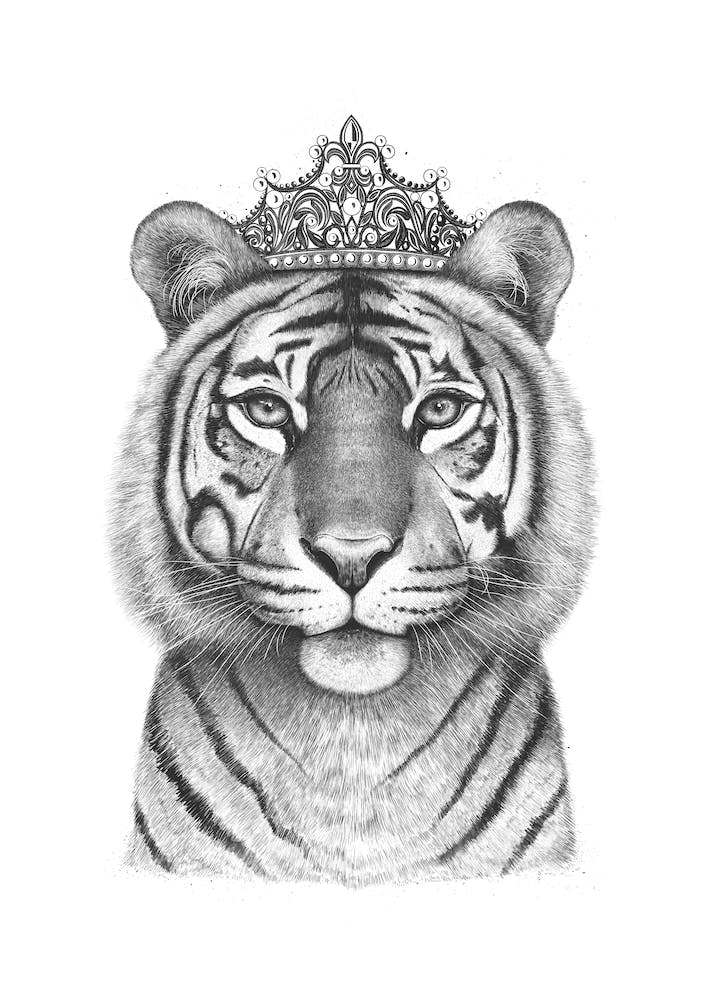 The Tigress Queen