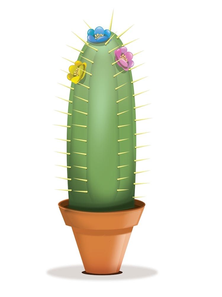 Cactus With Flowers