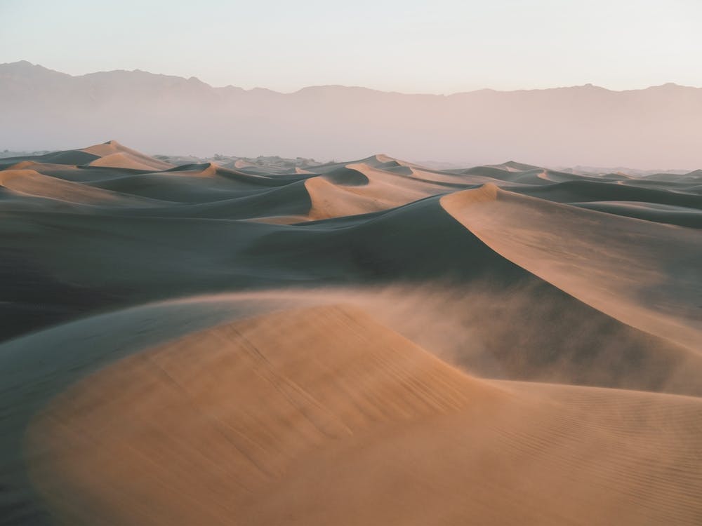 Windy Sand Dunes