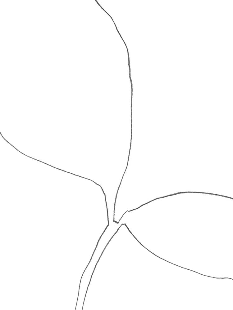 Seedling Leaning Right