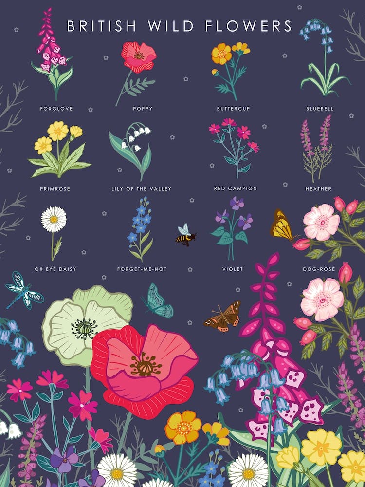 British Wild Flowers