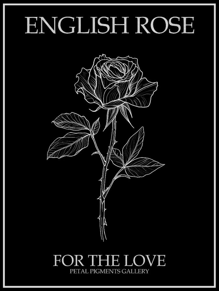 Englische Rose Schwarz-Weiß-Strichzeichnung 34 Poster Invertiert