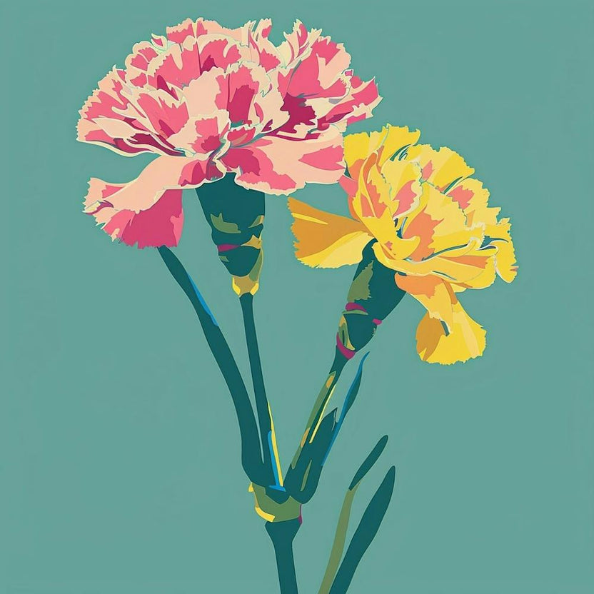 Carnation 2 Square Flower Illustration
