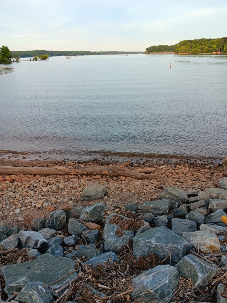 Rocky Shore