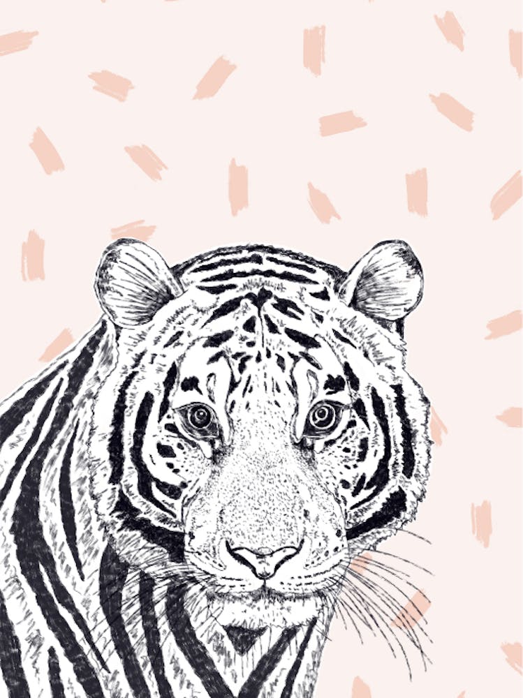 Tiger 1