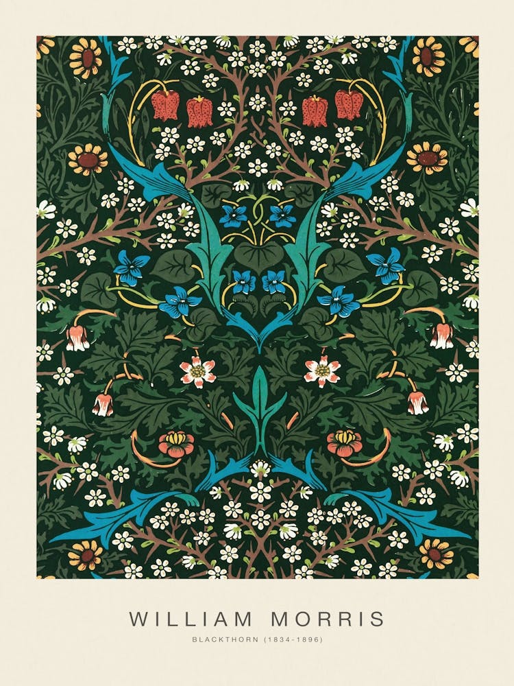 BLACKTHORN (SPECIAL EDITION) - WILLIAM MORRIS