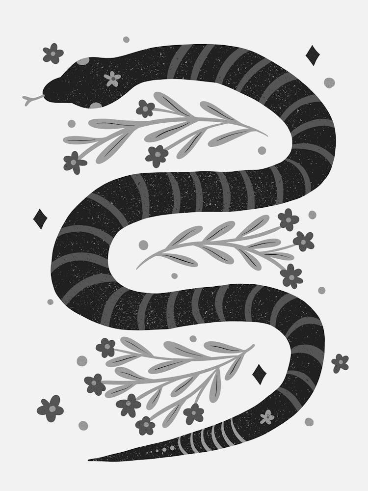 Modern Snake Black And White