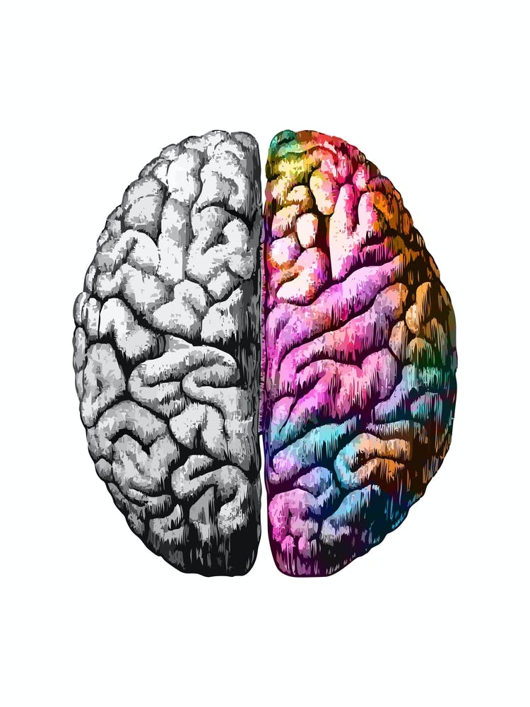 Brain Colorful Black And White 1