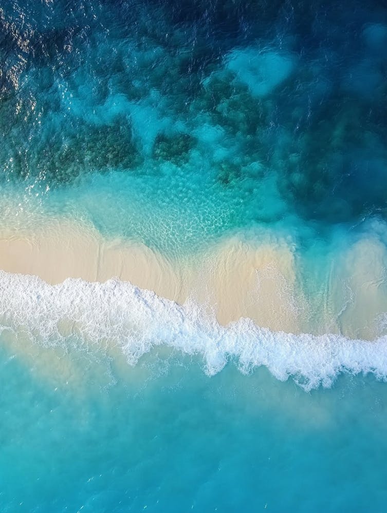 Aerial View Of The Beach 19