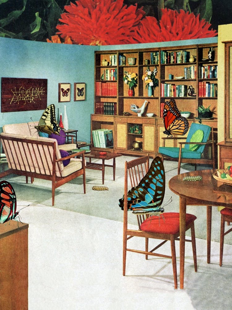 Butterfly Sanctuary Colourful