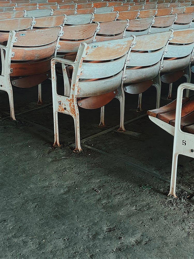 Midday At Tanglewood