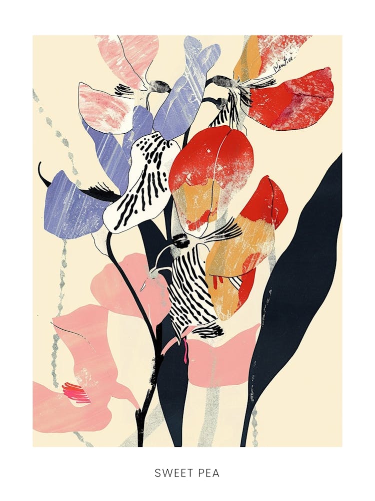 Colourful Flower Illustration Poster Sweet Pea 2