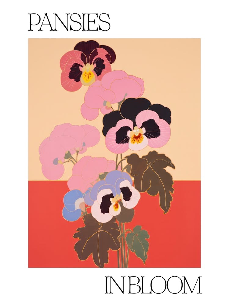 Pansies In Bloom Flowers Bold Illustration 3