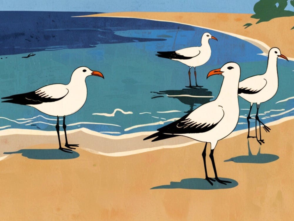 Möwen am Strand 2