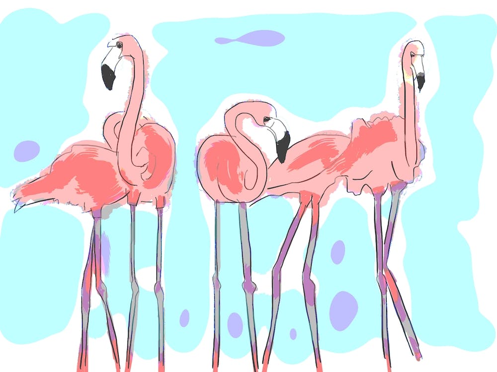The Three Flamingos