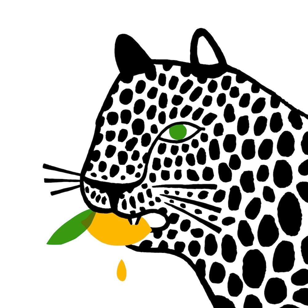Big Cat Eating A Lemon Square