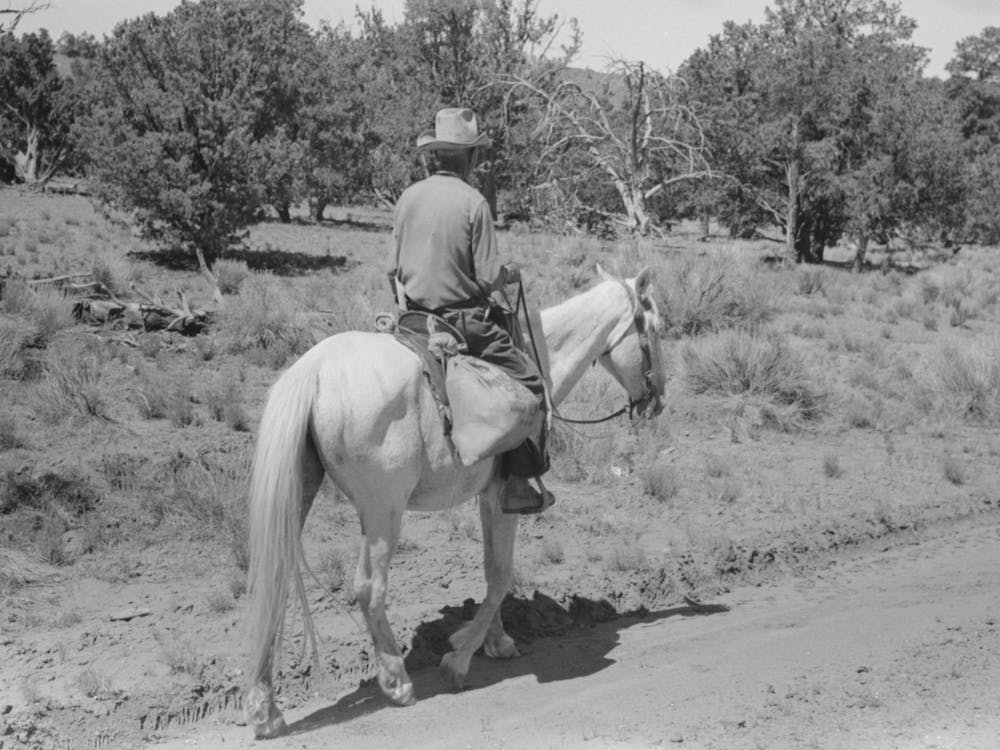Siedler kehrt von Stadttour nach Hause zurück, Pie Town, New Mexico von Russell Lee