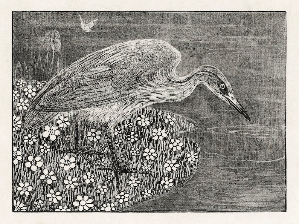 Announcement With Heron For Series Animal Studies (1878–1898),Theo Van Hoytema