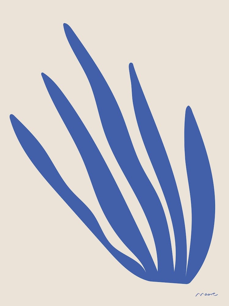Alga Azul