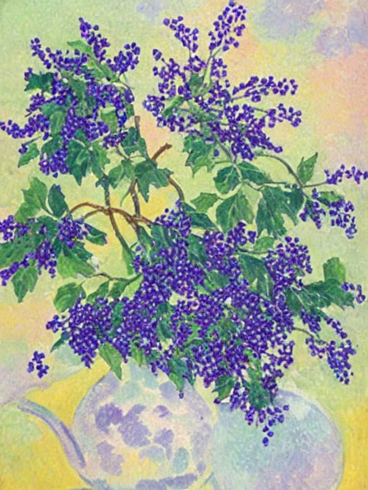 Elderberry Vintage Sketch Fruit