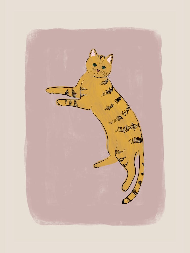 Yellow Cat
