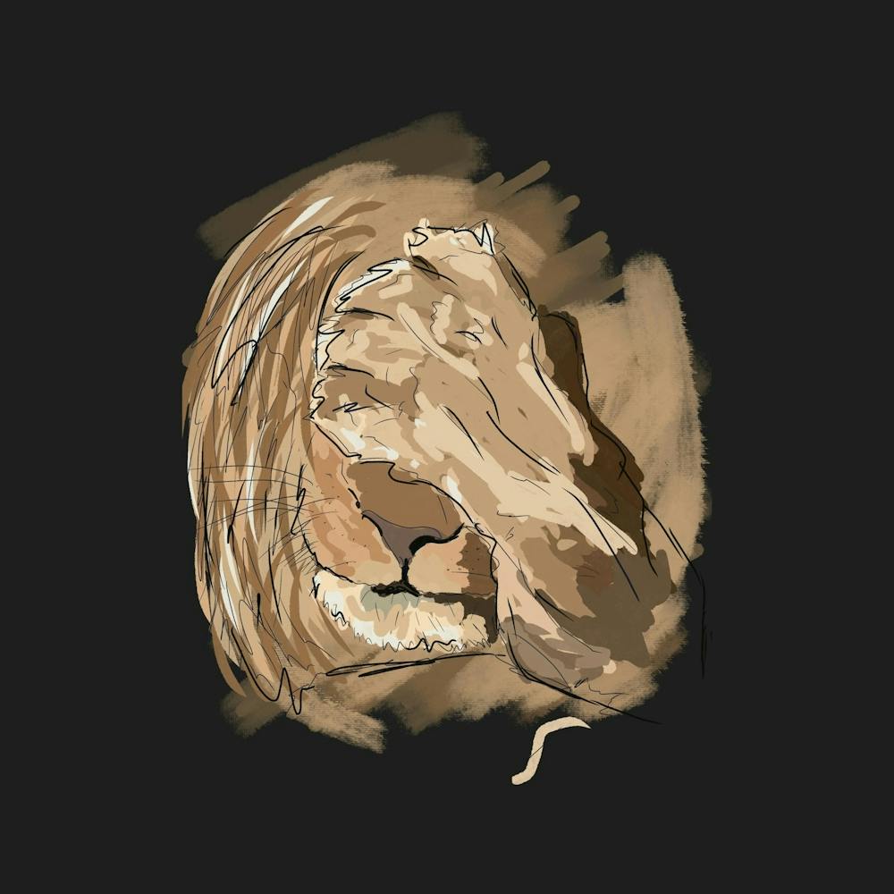 Lion's Head