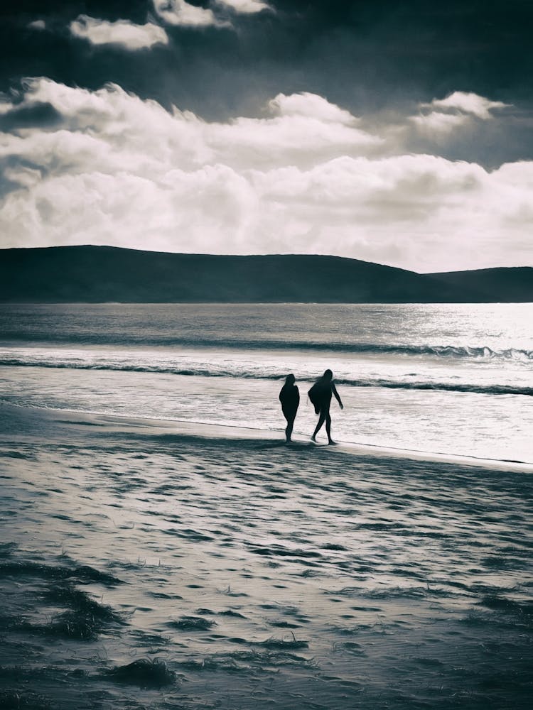 Shoreline Walk