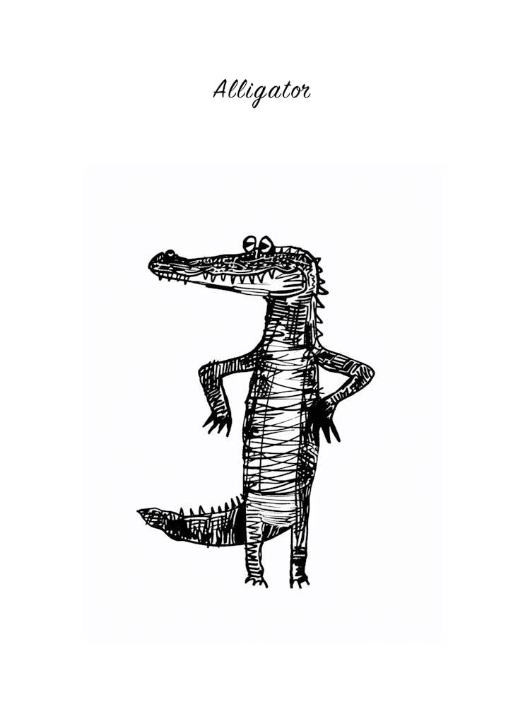 Bw Alligator Poster