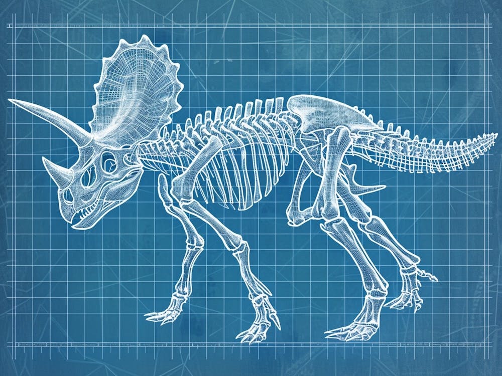 Triceratops Skeleton Hand Drawn Blueprint 2