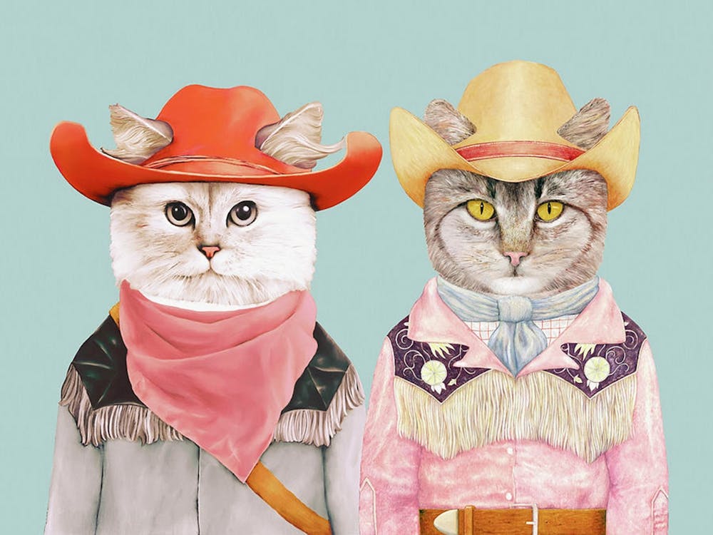 Cowboy Cats