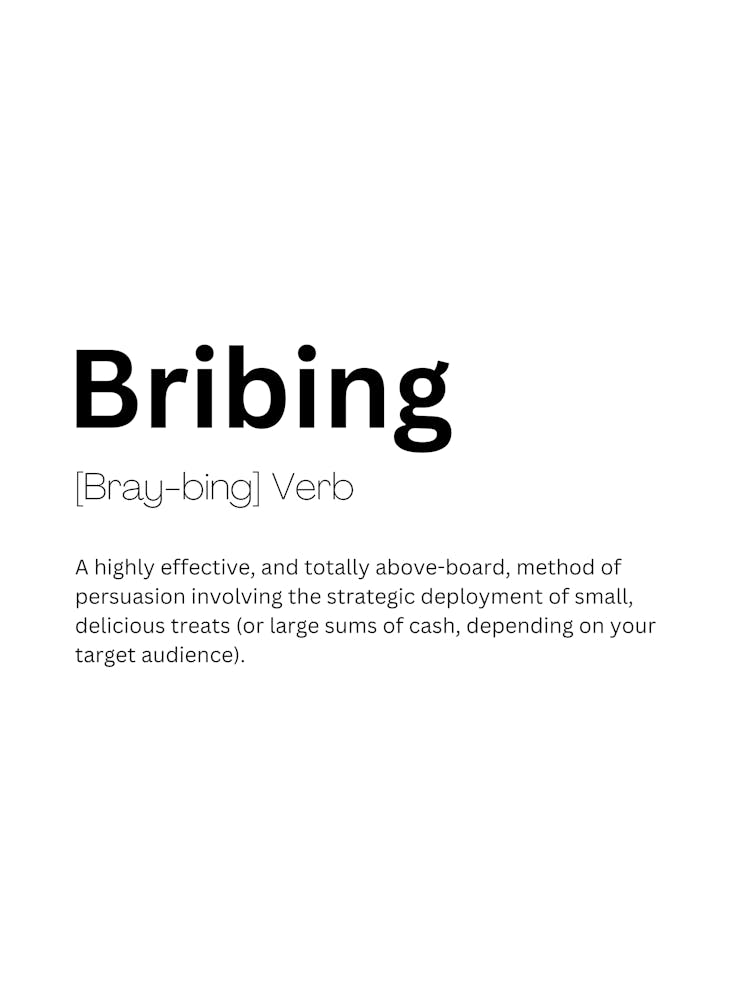Bribing Definition Meaning