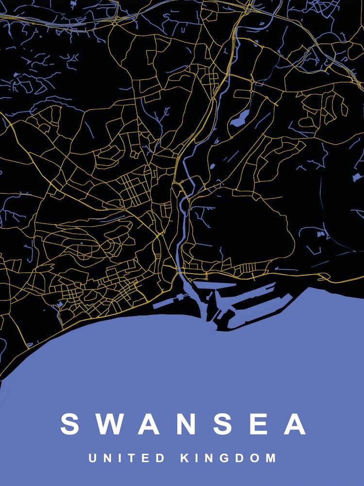 Swansea City Map Black and Gold
