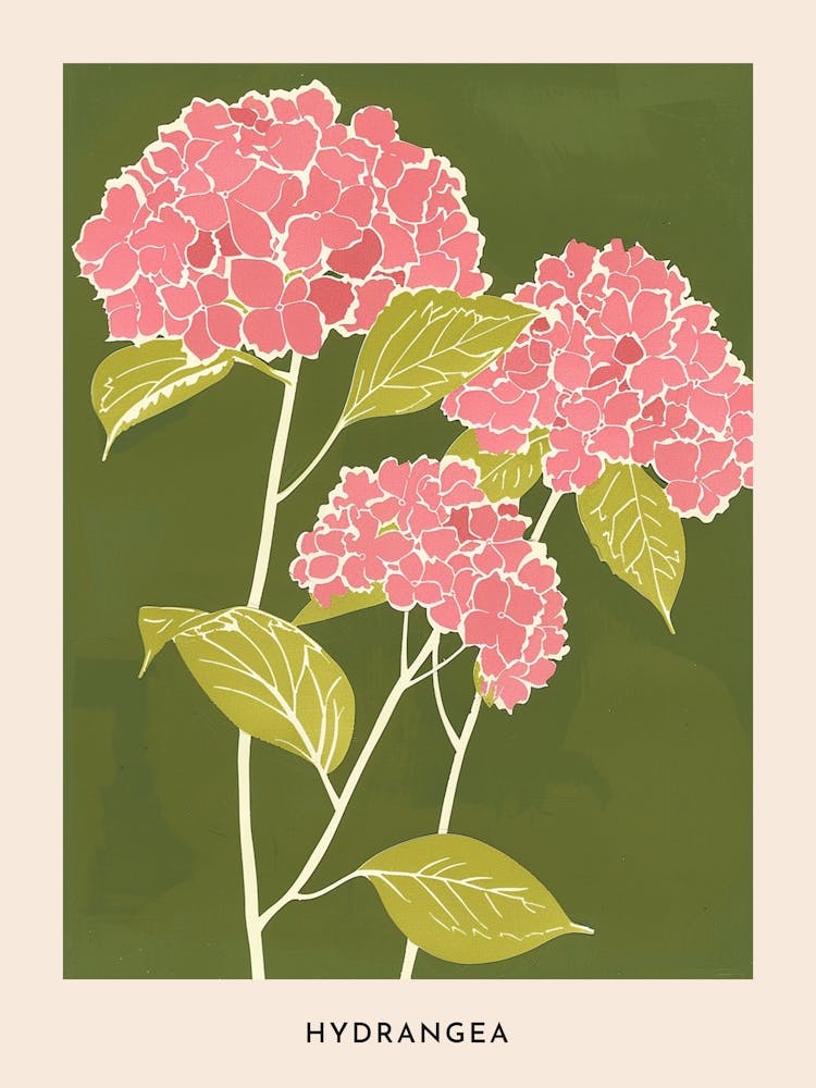 Pink & Green Hydrangea 3 Flower Poster