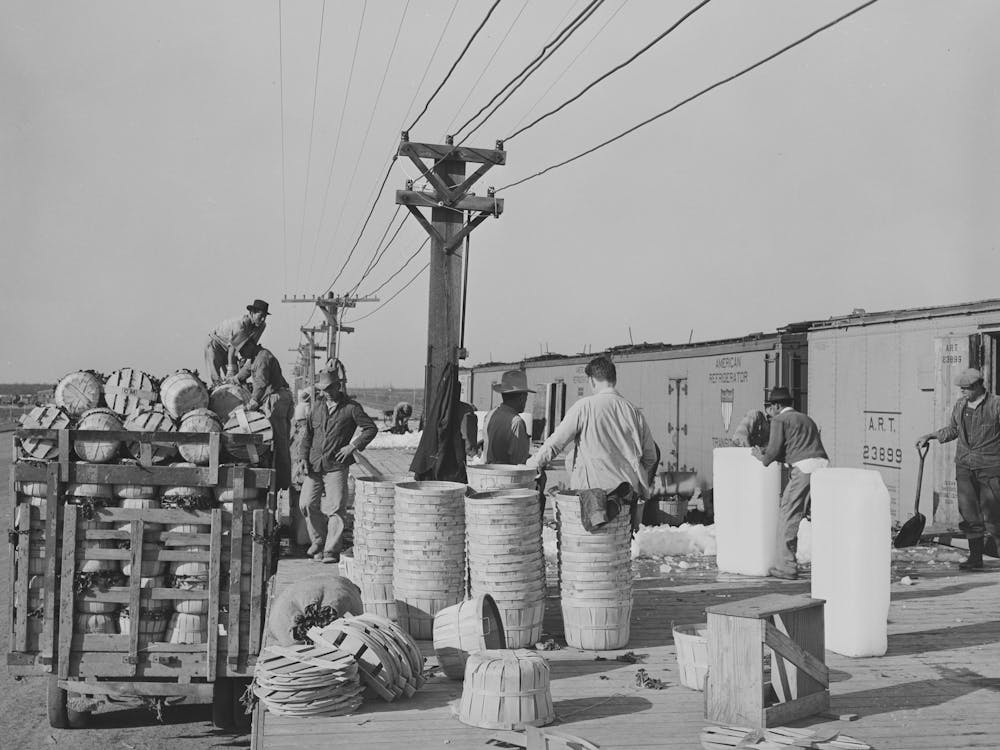 Unloading Baskets Of Spinach Onto Platform Where They Are Iced And Packed Into Refrigerator Cars To Be