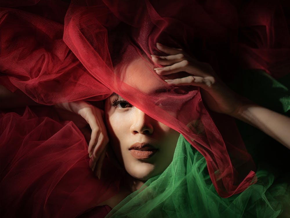 The Colors Of Christmas