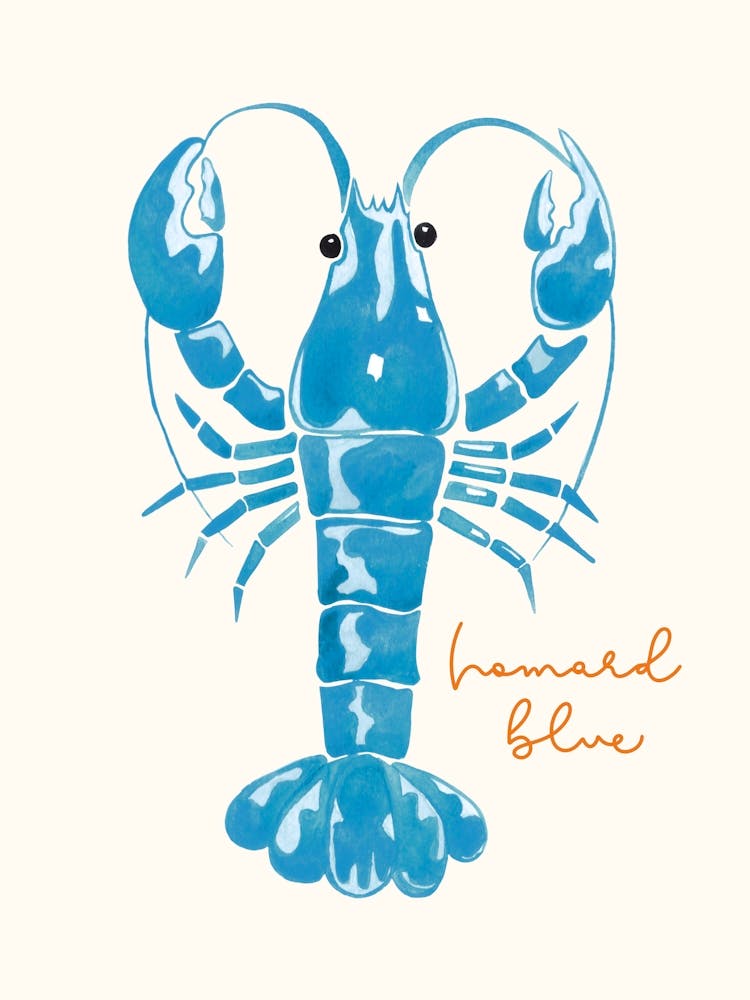 Homard Blue