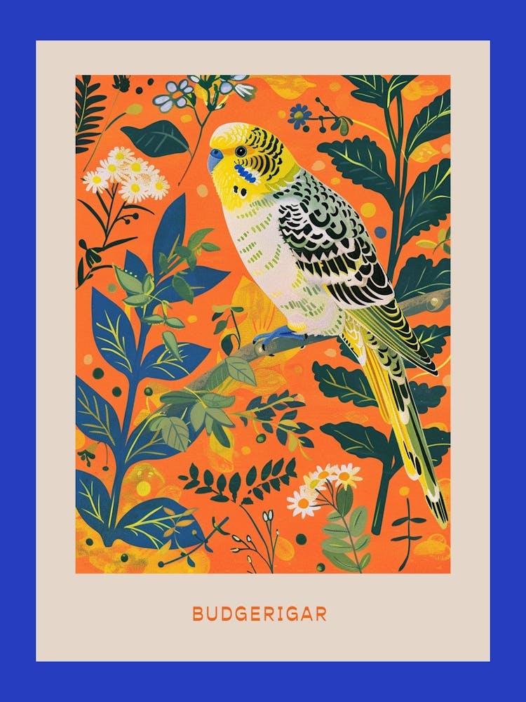 Spring Birds Poster Budgerigar 1
