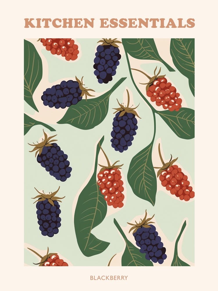Blackberry & Leaves Tile Illustration Poster