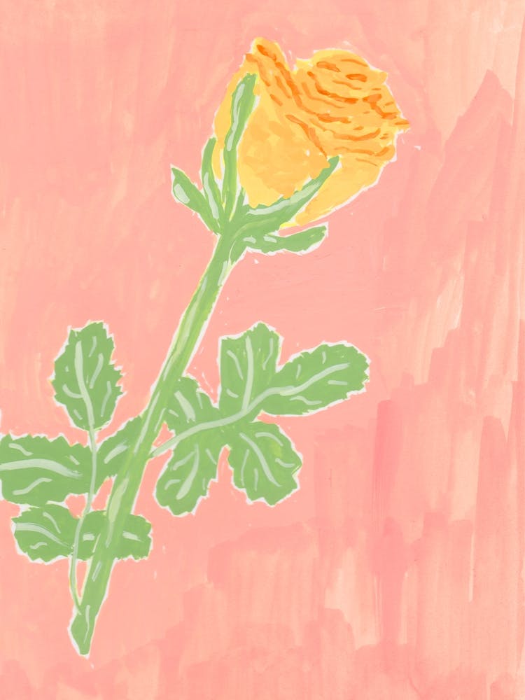 Yellow Rose of Texas