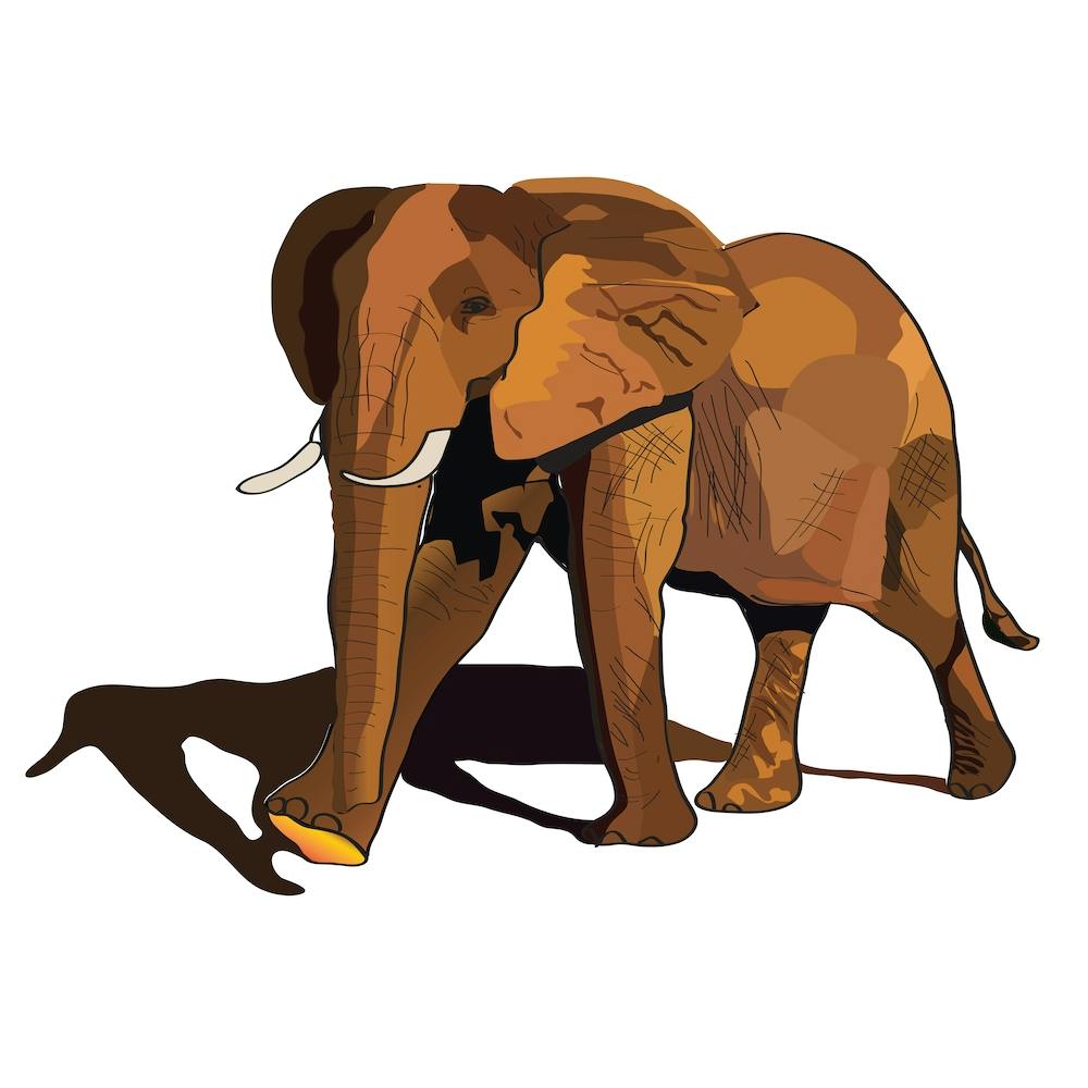 Desert Elephant 2